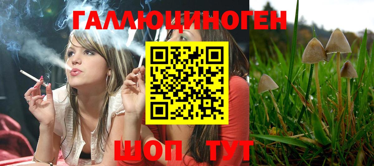 Псилоцибиновые грибы MAGIC MUSHROOMS  Галлюциногенные грибы Magic Shrooms  Вход с VPN  Полевской 